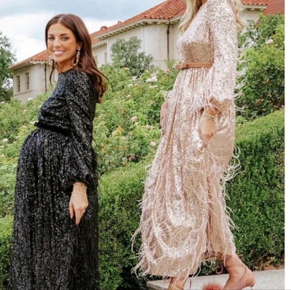 ANTONIO MELANI xNicola Bathie Nicola Sequin Belted Feathered A-Line 0 dress - Picture 4 of 16